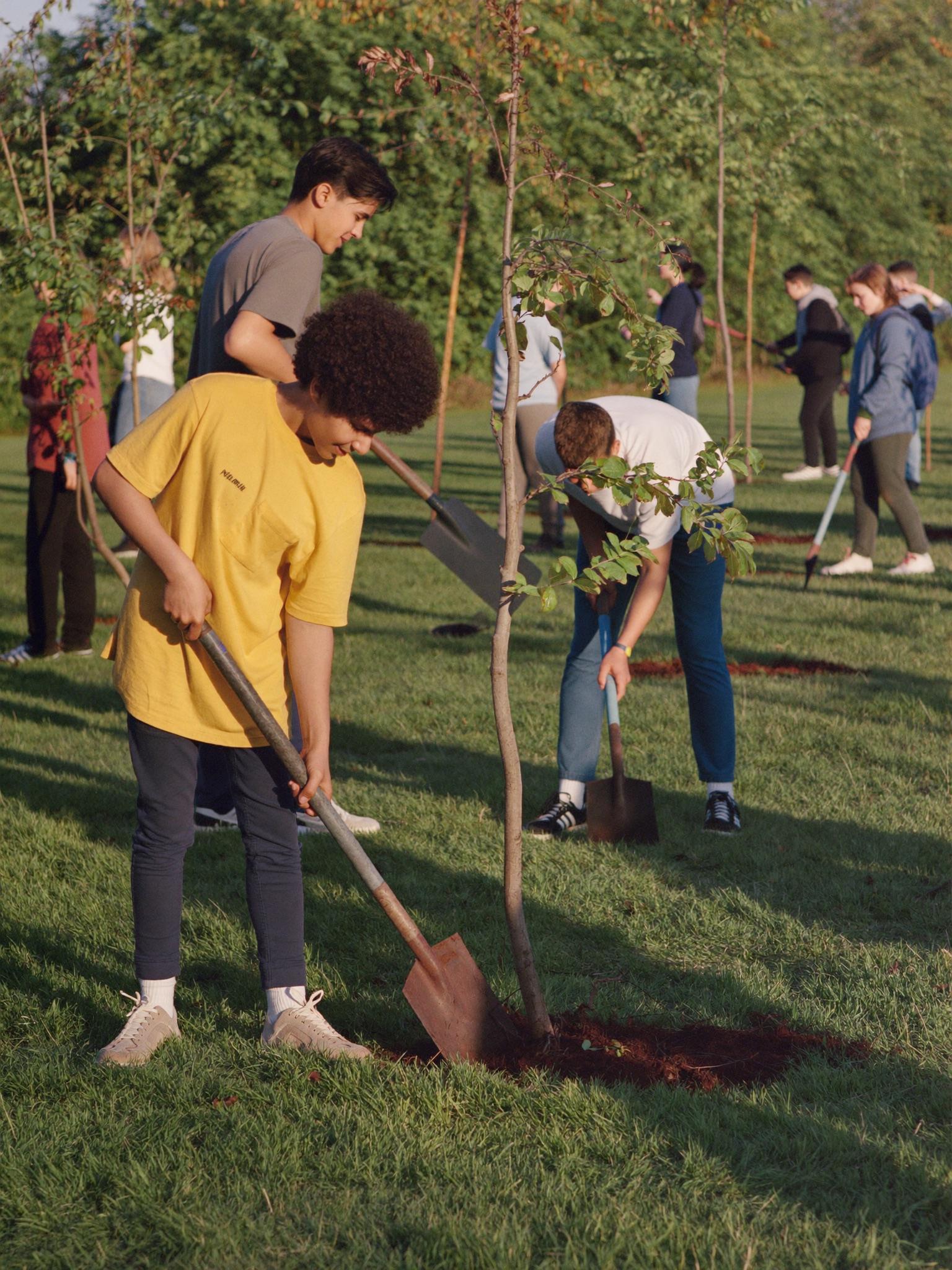 Planting day